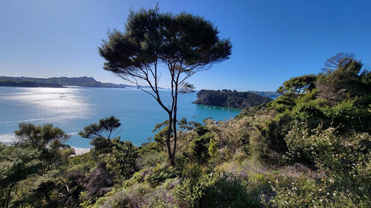 Margaritaville Hahei Εξωτερικό φωτογραφία